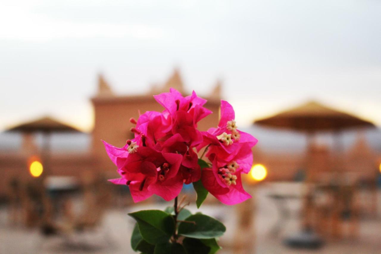 Hotel Kasbah Ennakb Nkob Zewnętrze zdjęcie